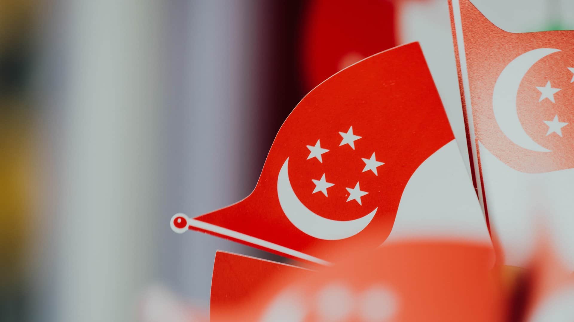 新加坡专线- 佳赢物流